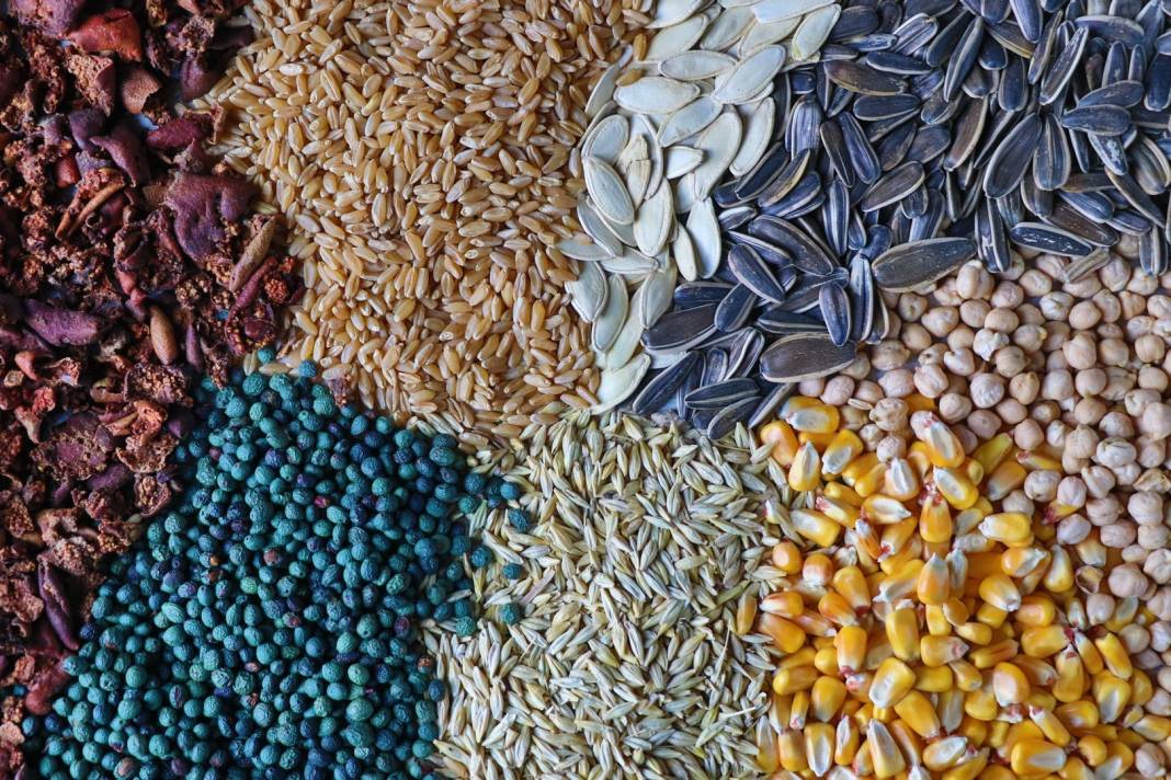 Konya'da yaylacıların vazgeçilmezi 8 malzemeli lezzet: İşte "gavut" böyle yapılıyor 6